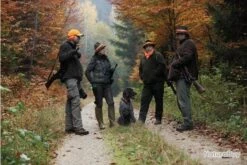 Lunette De Tir Swarovski Z6i 1-6x24 L Ou SR SR 4A-I 17 Lunette De Tir Swarovski Z6i 1-6x24 L Ou SR SR 4A-I -Chasse Offres Boutique 00008 Lunette de tir Swarovski Z6i 1 6x24 L ou SR SR 4A I