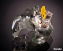 Oreillettes Antibruit Sur-mesure Alvis Tir II Plus