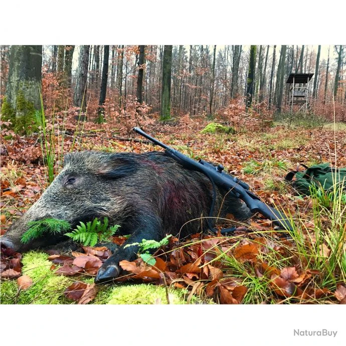 Lunette De Visée Meostar R2 1-6X24 (Réticule: K-DOT 2) 10 Lunette De Visée Meostar R2 1-6X24 (Réticule: K-DOT 2) – Image 8